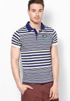 Duke Blue Striped Polo T-Shirts