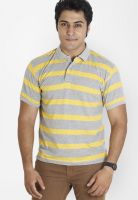 Globus Yellow Striped Polo T-Shirts