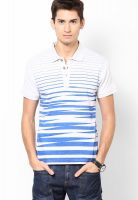 VOI Grey Striped Polo T-Shirts