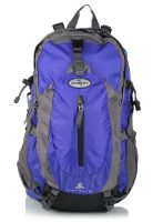 COLORLIFE 14-15 Inches Blue Backpack