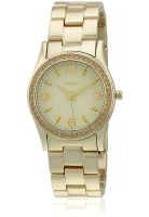 DKNY NY8308 Golden/Champagne Analog Watch