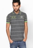 Duke Grey Striped Polo T-Shirts