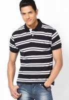 Globus Black Striped Polo T-Shirts