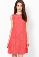 MIAMINX Pink Colored Solid Shift Dress