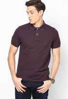 Tommy Hilfiger Purple Wine-Pt Half Sleeve Polo T-Shirt