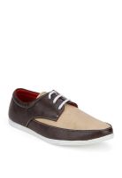 Z Collection Brown Lifestyle Shoes