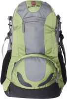 Black ice 9002 40 L Backpack(Cool green)