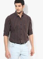 Izod Brown Casual Shirt