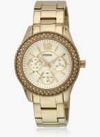 Fossil Es3589i Golden/Champagne Analog Watch