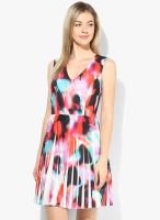 French Connection Multicoloured Printed Skater Dress