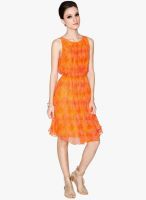 Label Ritu Kumar Orange Colored Printed Shift Dress