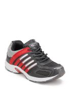 Lancer Grey Running Shoes