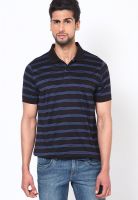 Proline Black Striped Polo T-Shirts