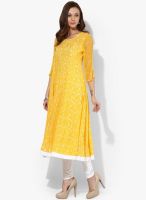 Vedic Yellow Printed Anarkali