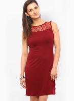 Vvoguish Maroon Colored Solid Shift Dress