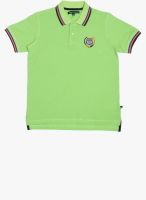 Wilkins & Tuscany Green Polo Shirt