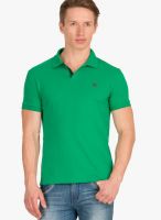 Wilkins & Tuscany Green Solid Polo T-Shirts