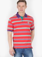 Wilkins & Tuscany Red Striped Polo T-Shirts