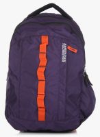 American Tourister Encarta Purple Laptop Backpack