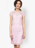 Dorothy Perkins Pink Lace Pencil Dress