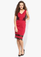 Dorothy Perkins Red Colored Solid Shift Dress