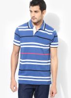 Izod Blue Striped Polo T-Shirts