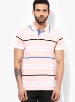 Izod Pink Striped Polo T-Shirts