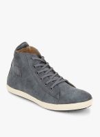 Knotty Derby James Blue Sneakers