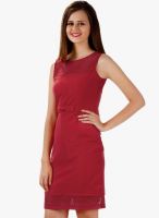 Miss Chase Coral Sleeveless Solid Bodycon Mini Dress