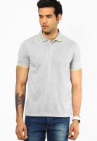 Peter England Grey Melange Solid Polo T-Shirts