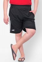 Pluss Solid Black Shorts