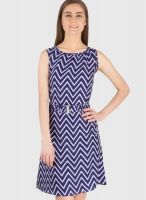 Tops And Tunics Blue Colored Printed Shift Dress