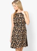 Tops And Tunics Brown Colored Solid Shift Dress