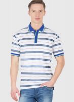 Wilkins & Tuscany Blue Striped Polo T-Shirts