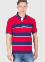 Wilkins & Tuscany Red Striped Polo T-Shirts