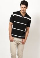 Wills Lifestyle Black Striped Polo T-Shirts