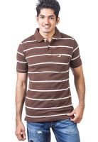 American Crew Brown Striped Polo T-Shirts
