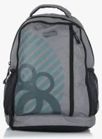 American Tourister Champ Casper Grey Backpack