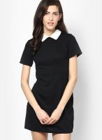 Boohoo Black Robin Contrast Collar Dress