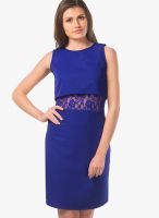 Miss Chase Cobalt Blue Colored Solid Shift Dress