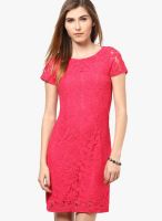 s.Oliver Pink Colored Solid Shift Dress