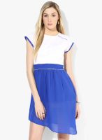 Calgari White Colored Solid Skater Dress