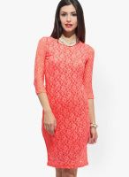 Faballey Orange Colored Embroidered Bodycon Dress