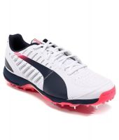 Puma Evospeed Cricket Spike 1.3 White Sport Shoes