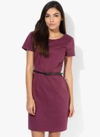 Tom Tailor Wine Colored Solid Bodycon Dress With Belt