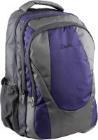 Zwart Andanor-DP 25 L Backpack(Black, Purple)