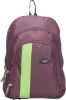 SLB_SLB_Purple_10_L_Laptop_Backpack.jpg