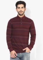 French Connection Maroon Striped Polo T-Shirt