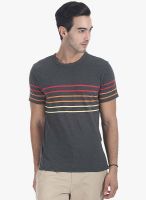 Zobello Dark Grey Striped Round Neck T-Shirt