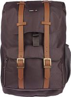 BagsRus Rustic 19 L Backpack(Ash Grey)